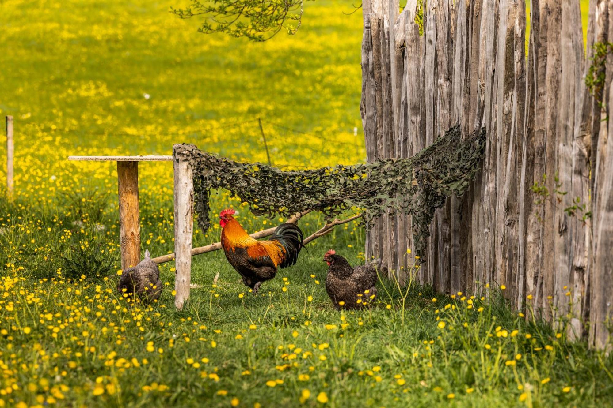 Ferienwohnungen Am Gablerhof Bad Reichenhall Εξωτερικό φωτογραφία