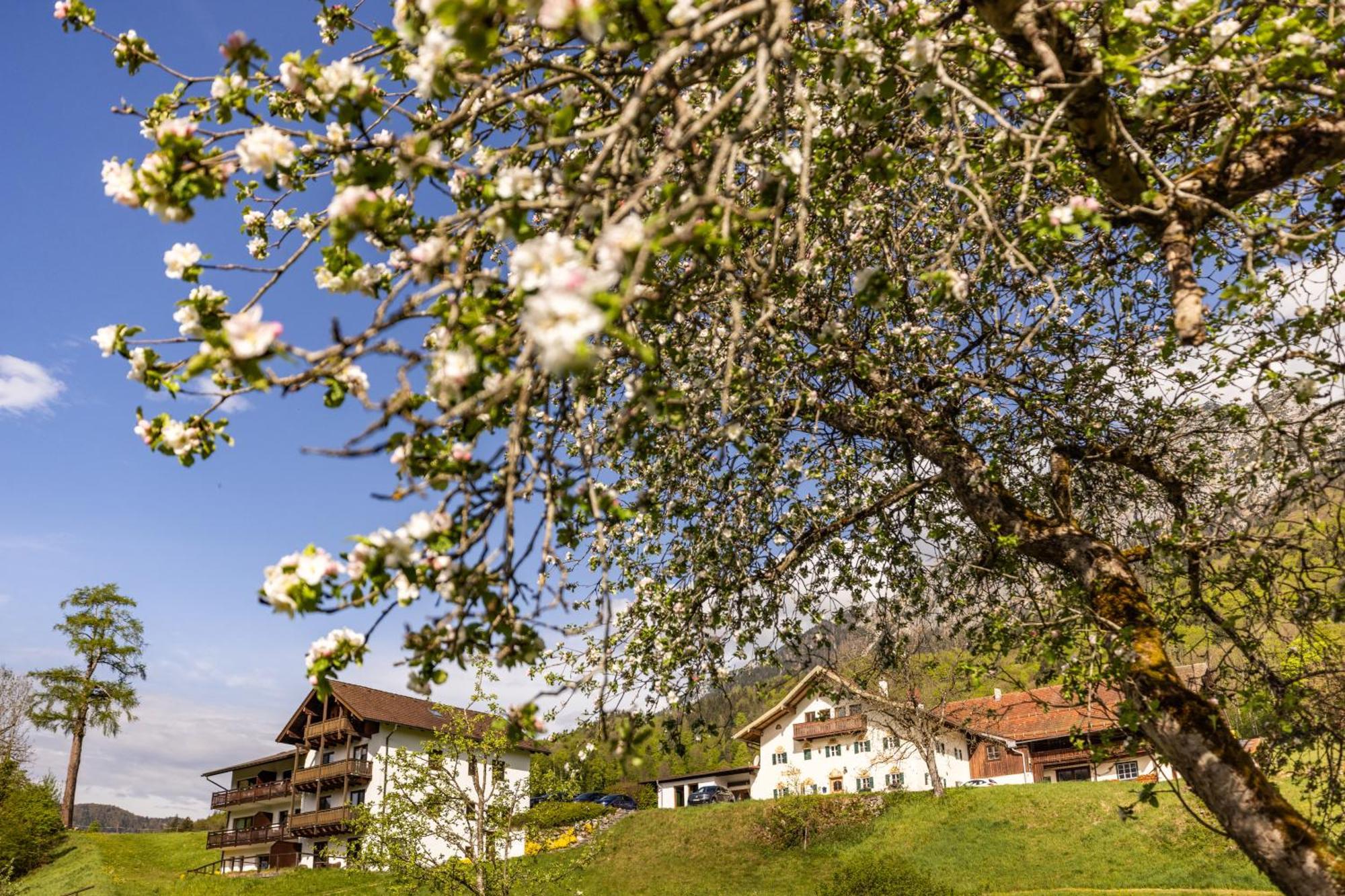 Ferienwohnungen Am Gablerhof Bad Reichenhall Εξωτερικό φωτογραφία